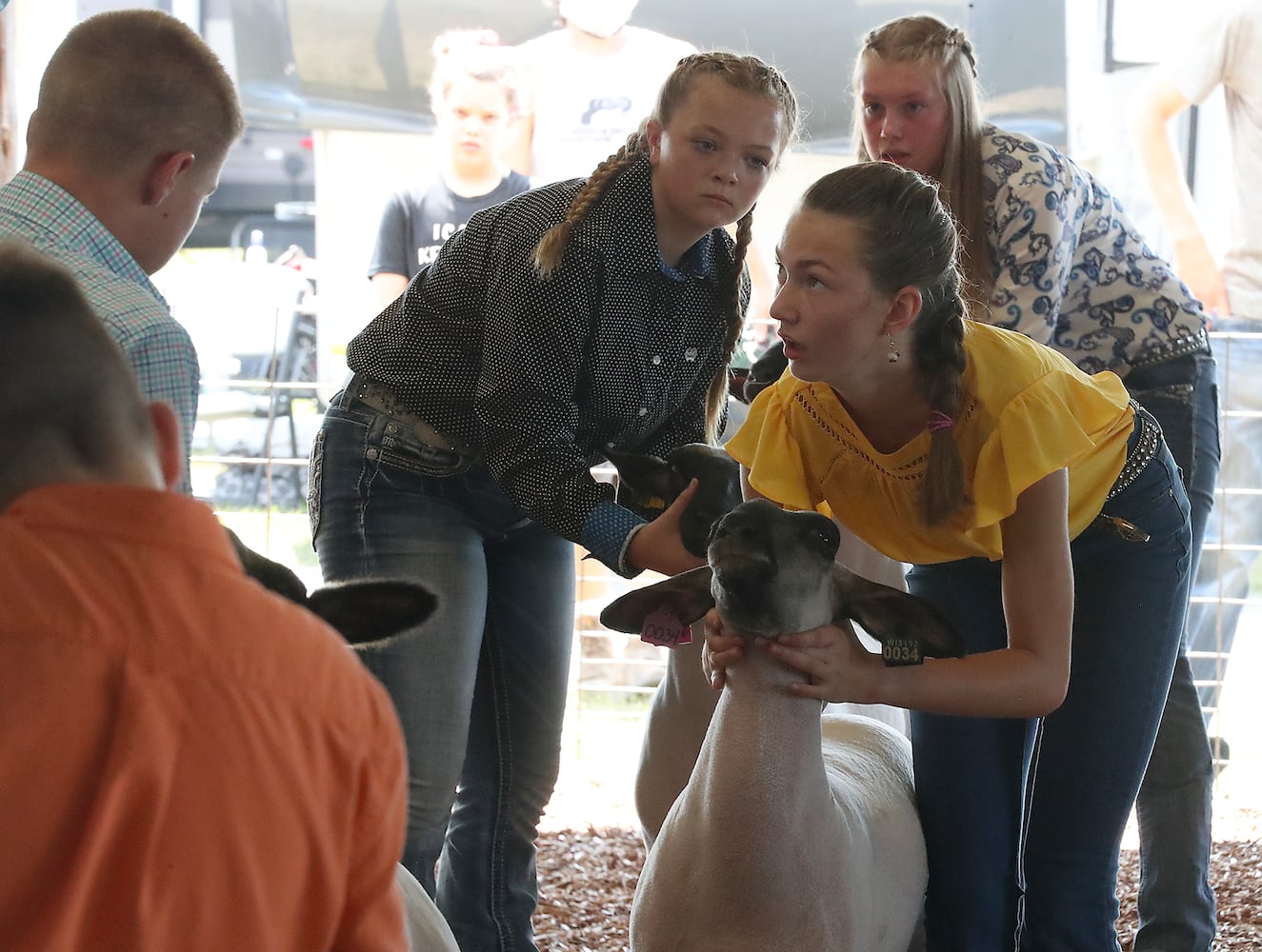 Clark County Fair