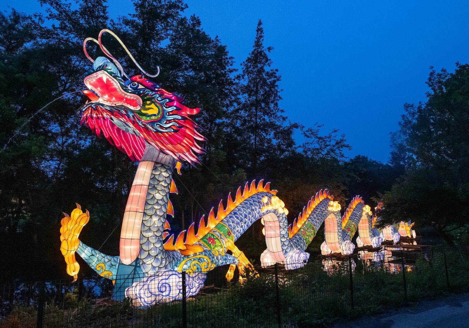 From dinosaurs to dragons and Terra Cotta Warriors to a giant tarantula, there are engaging and awe-inspiring displays all along the brightly-lit festival pathway. Make sure to find your Chinese Zodiac animal. CONTRIBUTED PHOTO BY KYLE LANZER/CLEVELAND METROPARKS