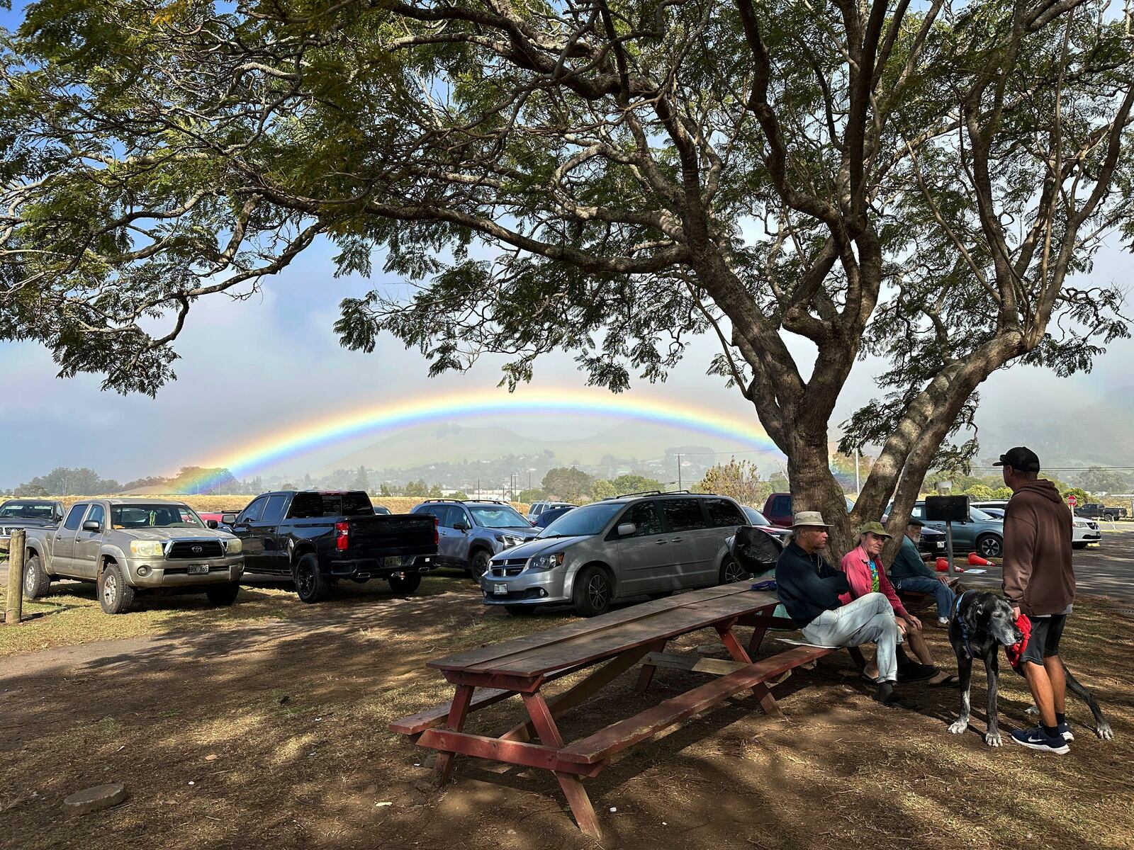 People gather outside a farmers market while a rainbow appears in the background in Kamuela, Hawaii, on Dec. 11, 2024. (AP Photo/ Audrey McAvoy)