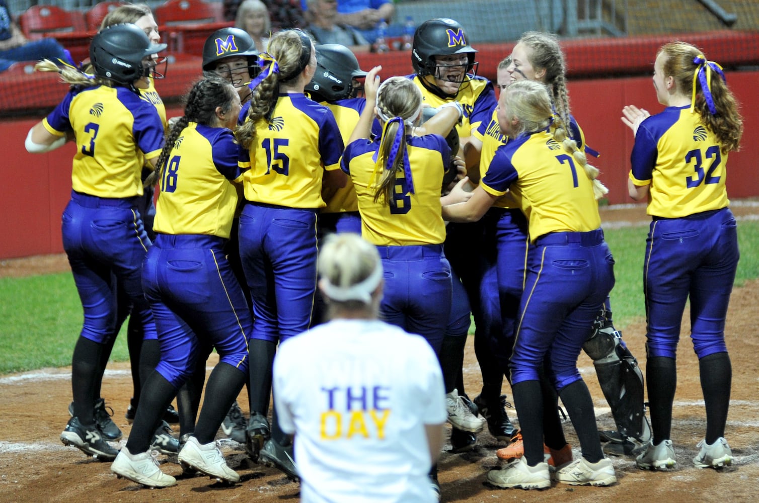 PHOTOS: Mechanicsburg Vs. Jeromesville Hillsdale Division IV State High School Softball