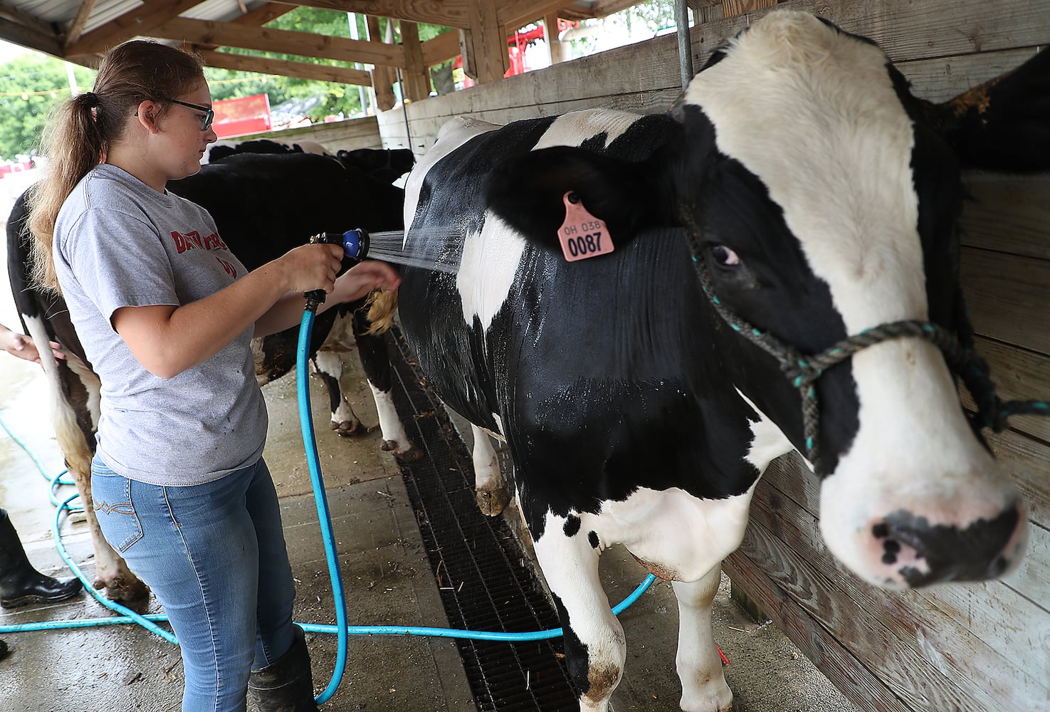 2018 Champaign County Fair Opens