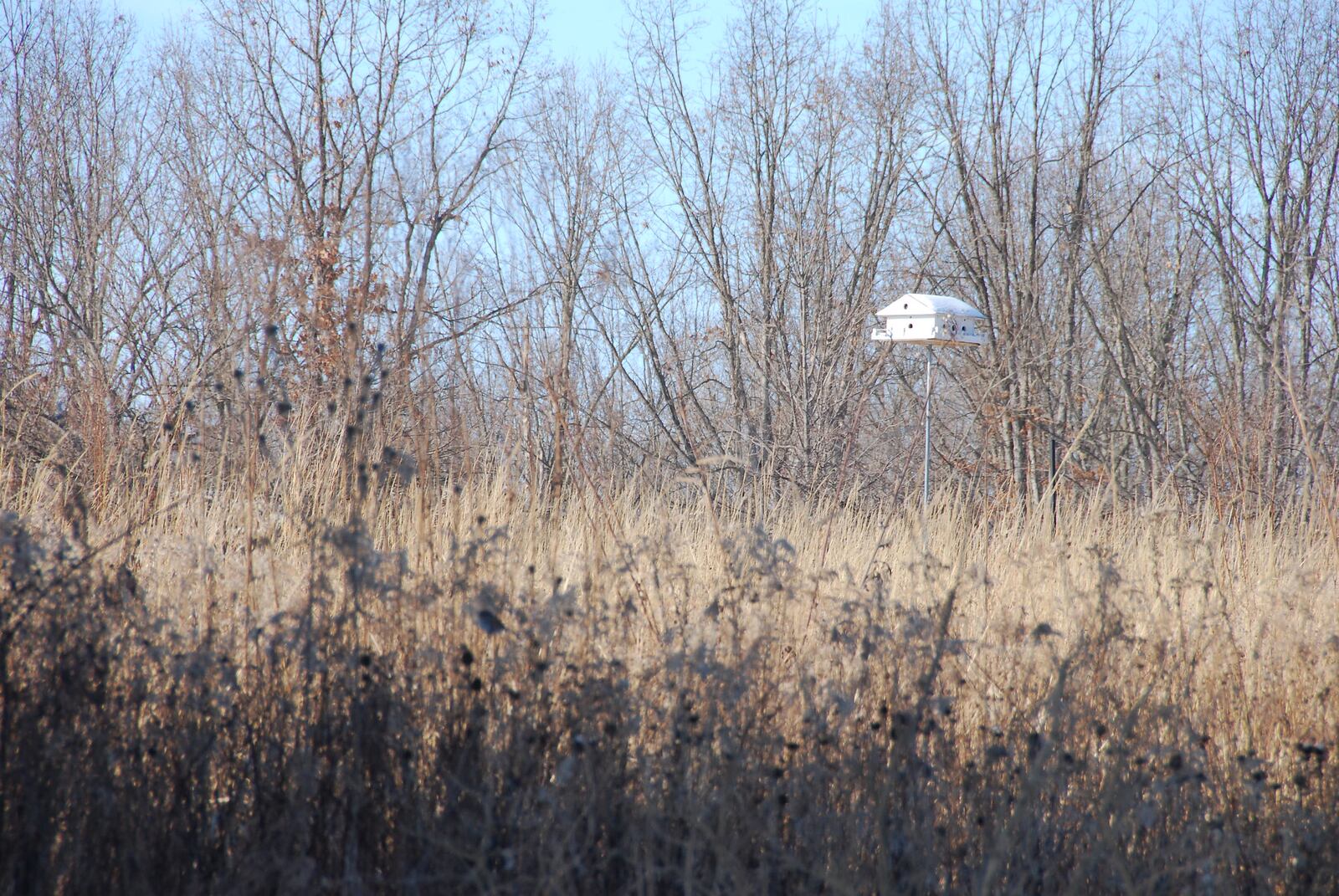 Aullwood Garden MetroPark is just one of the many local parks to check out during the Great Backyard Bird Count. CONTRIBUTED