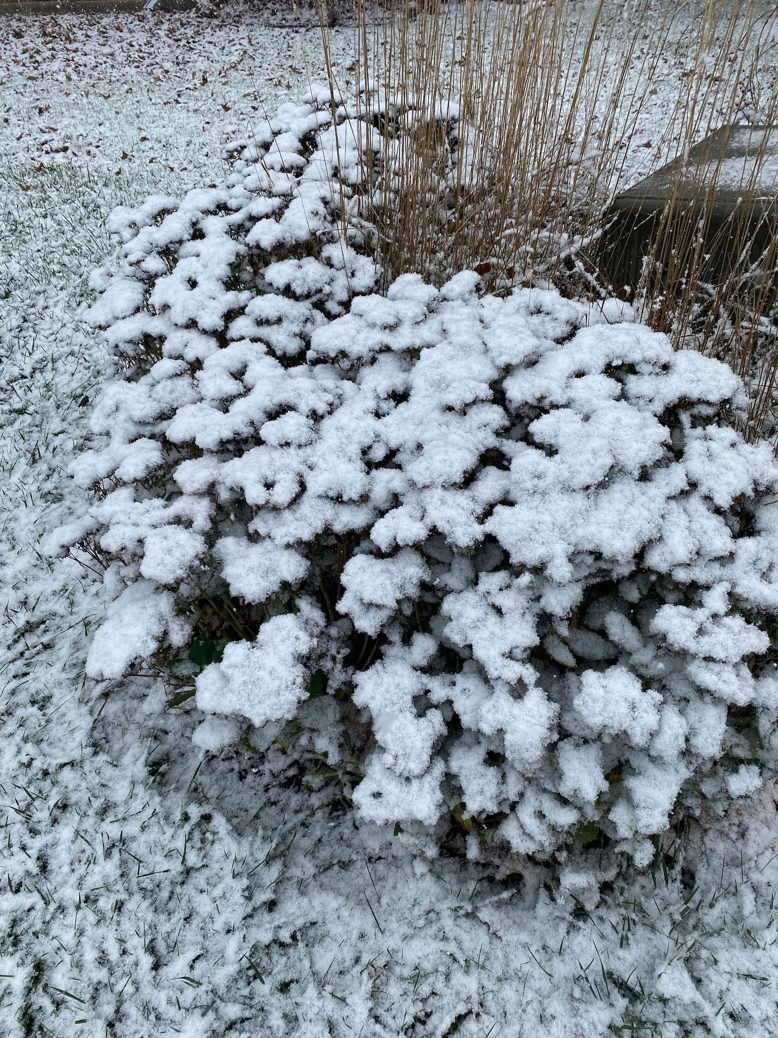 Some snow showers lead to light dusting of different areas in Huber Heights on Saturday, Nov. 12, 2022. Photo Credit: Sharon Wilmore-Buggs.