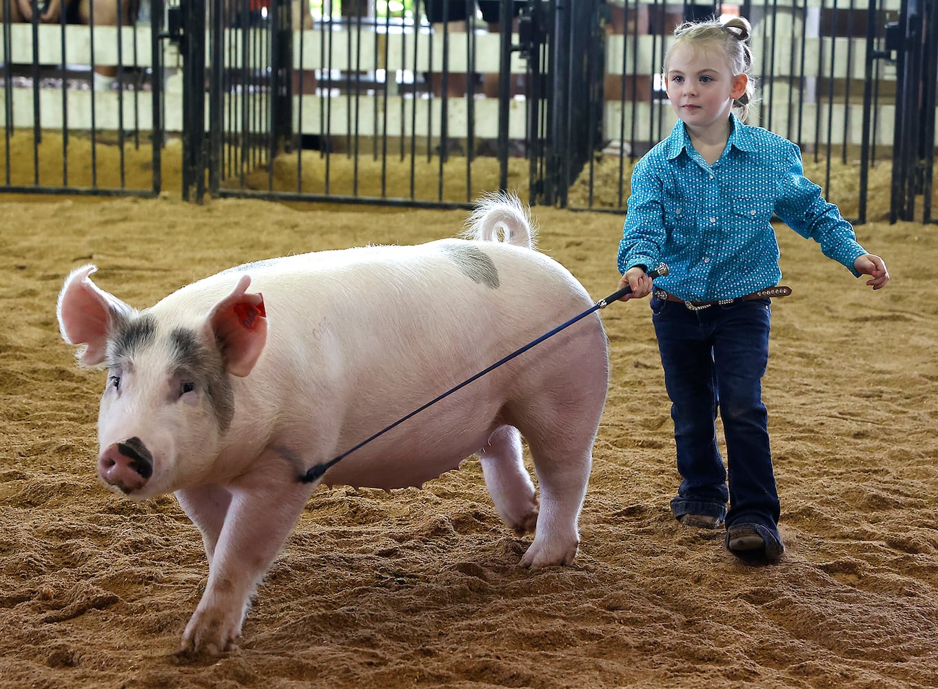 072823 Clark County Fair SNS