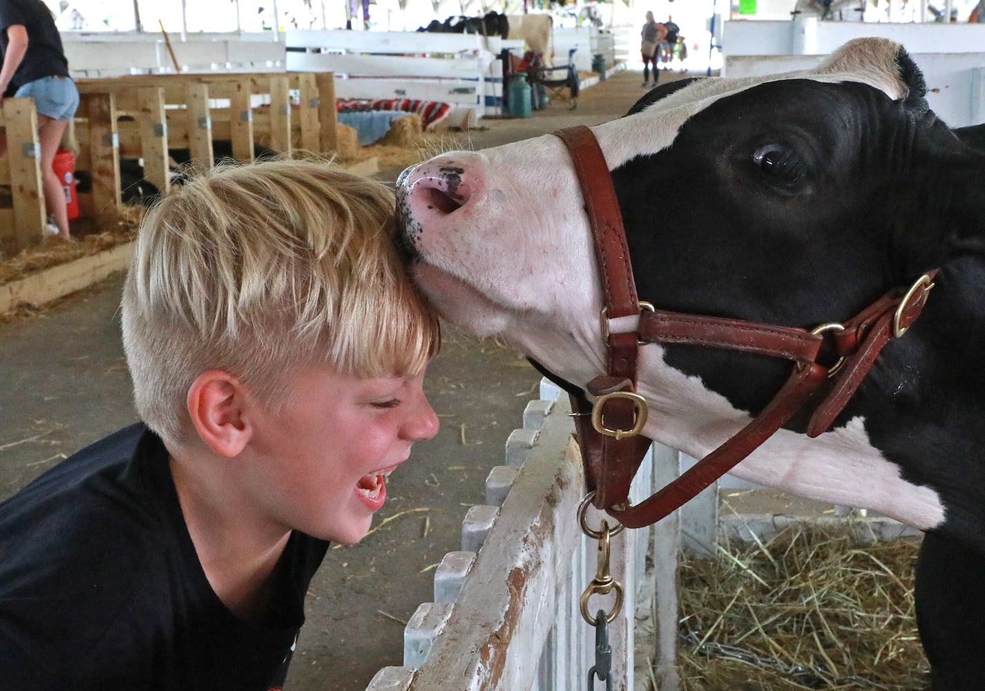 85 PHOTOS: 2019 Clark County Fair