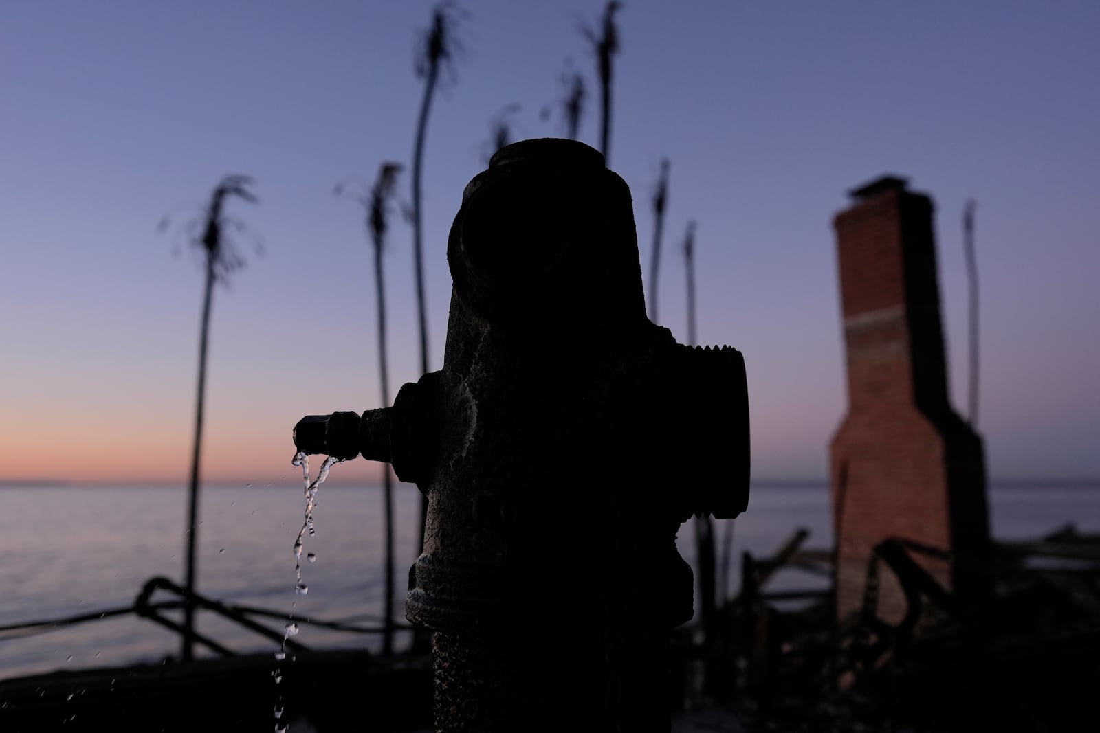 A burned fire hydrant drips water in front of charred trees in Malibu, Calif., Tuesday, Jan. 14, 2025. (AP Photo/Carolyn Kaster)