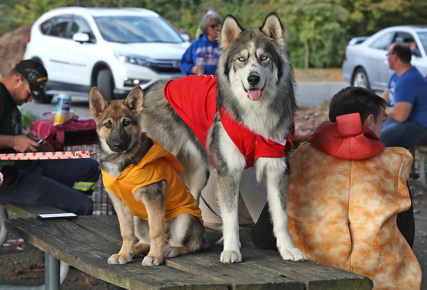 Yappy Howl-o-ween SNS