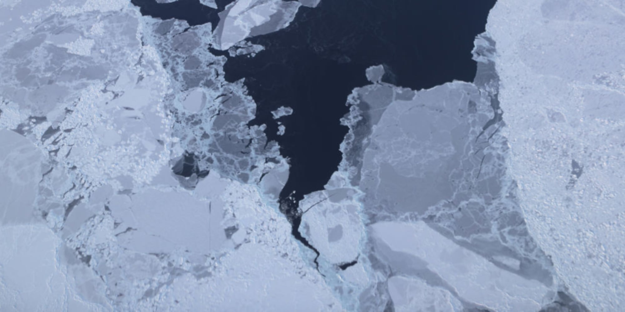 Arctic Sea Ice