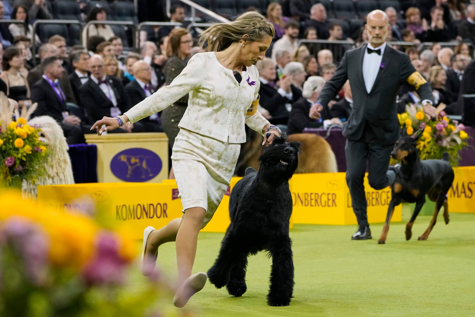 Katie Bernardin, left, and Monty, a Giant Schnauzer, compete in the working group competition during the 149th Westminster Kennel Club Dog show, Tuesday, Feb. 11, 2025, in New York. (AP Photo/Julia Demaree Nikhinson)