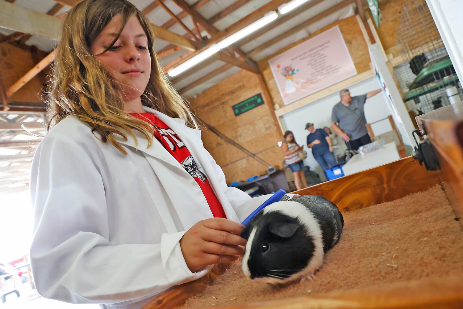 Champaign County Fair SNS