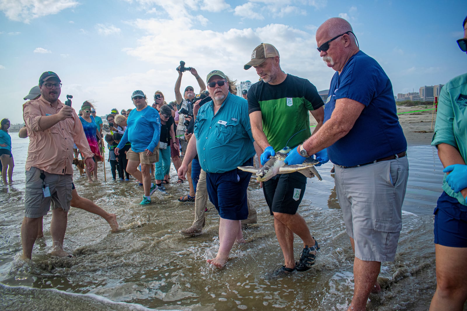 This photo provided by the Houston Zoo shows Boeier, an endangered Kemp's ridley turtle, being released at Stewart Beach in Galveston, Texas. (Jackelin Reyna/Houston Zoo via AP)