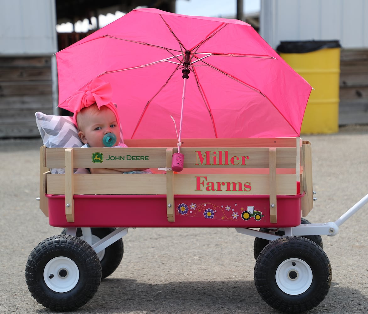 85 PHOTOS: 2019 Clark County Fair