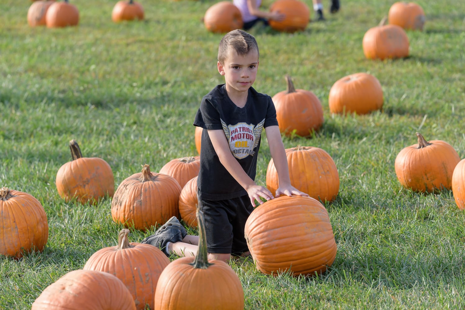 PHOTOS: 2024 Fall Farm Fest at Lost Creek Reserve in Troy