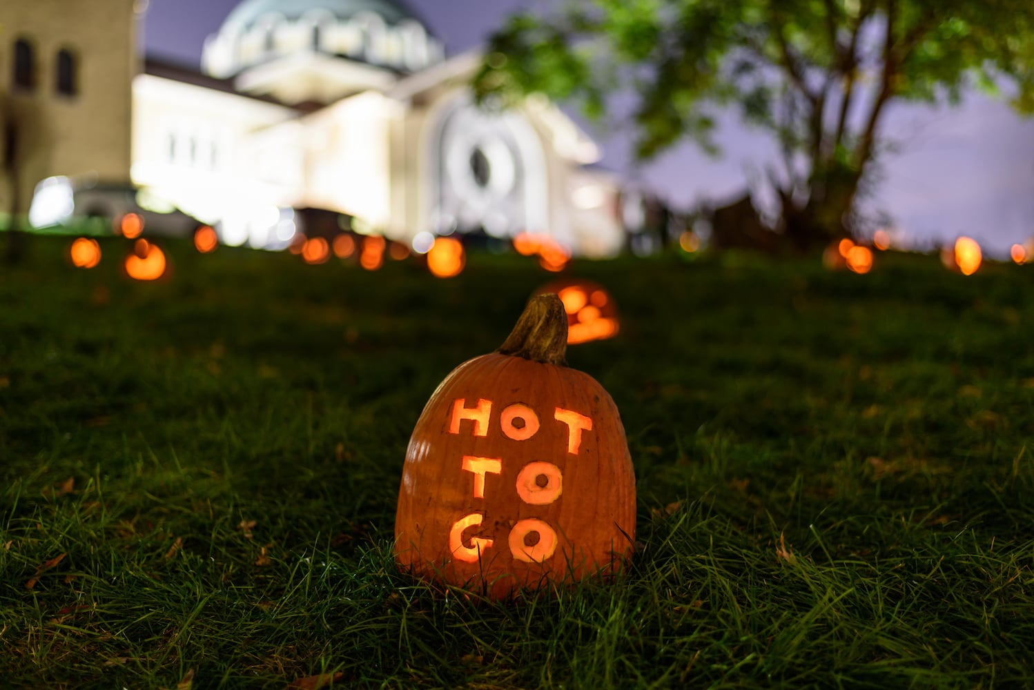 PHOTOS: The 30th annual Stoddard Avenue Pumpkin Glow