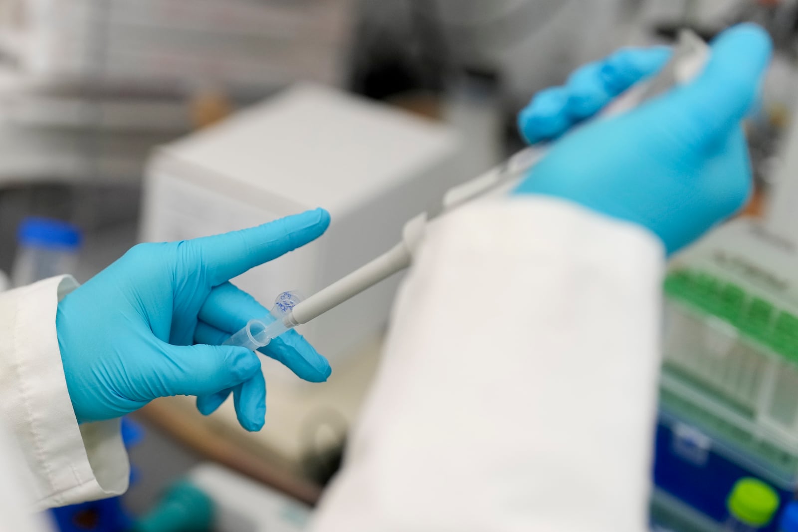 A student runs a test at Duke University pharmacology and cancer biology professor Donald McDonnell's lab Tuesday, March 4, 2025, in Durham, N.C. (AP Photo/Chris Carlson)