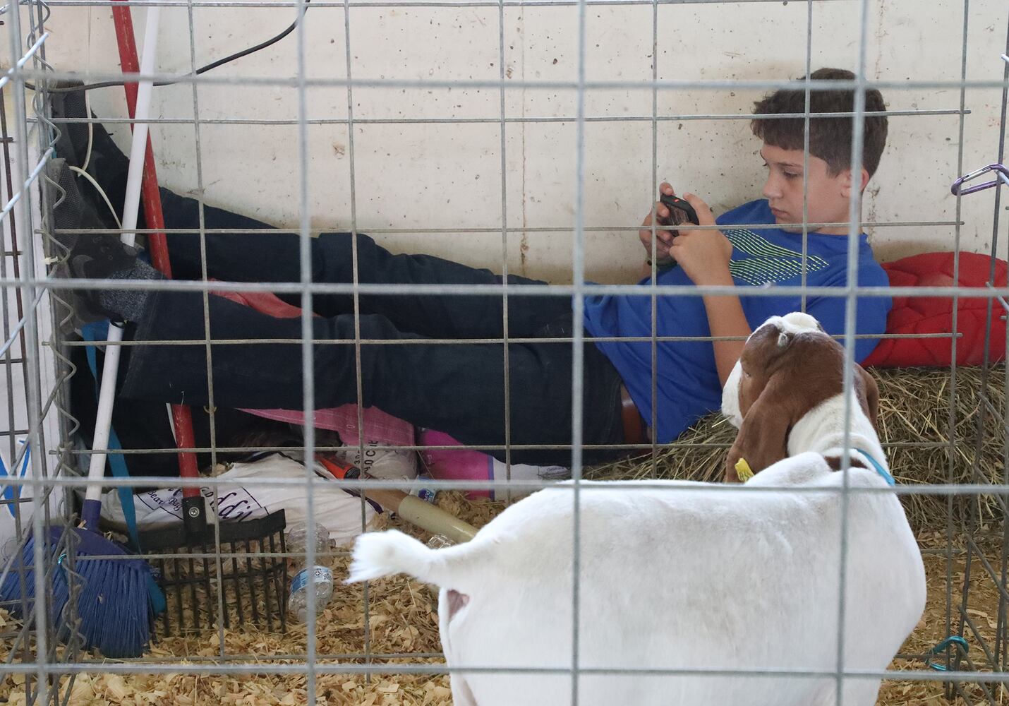 85 PHOTOS: 2019 Clark County Fair