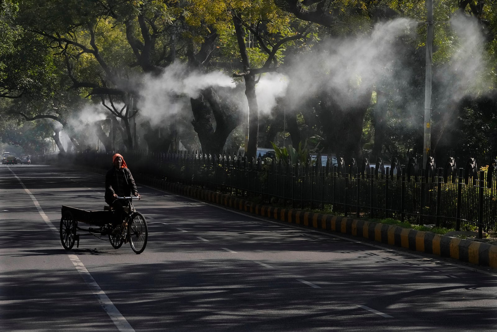 A man pedals his rickshaw as sprinklers attached to the street lamps spray water to settle down dust and air pollution in New Delhi, India, Wednesday, Feb. 12, 2025. (AP Photo/Manish Swarup)