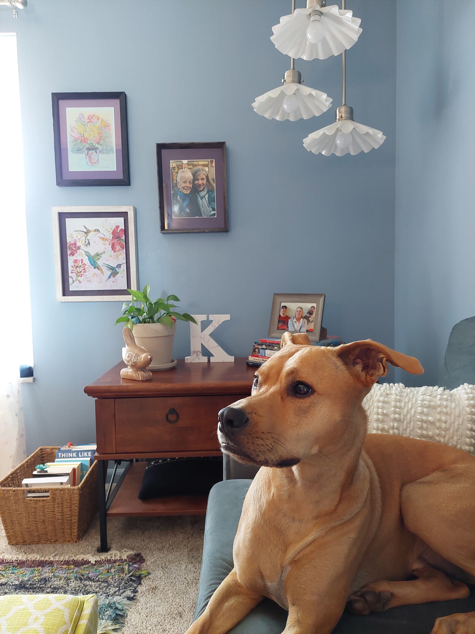 Kim Bramlage was able to purchase her best friend's parents' home in Forest Ridge in 2021. It was her first home purchase. She converted her friend Kay Plzak Fuhrman's bedroom into a den where she relaxes with adopted dog Buck. A framed photo of Fuhrman and her mom, Romelle, hangs on the wall. CONTRIBUTED