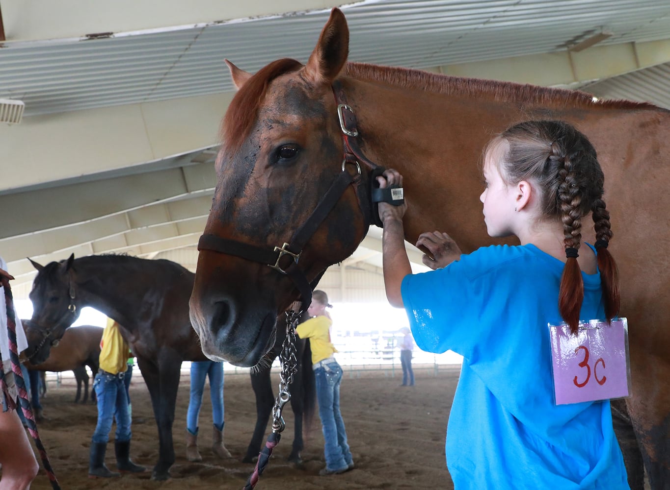 85 PHOTOS: 2019 Clark County Fair