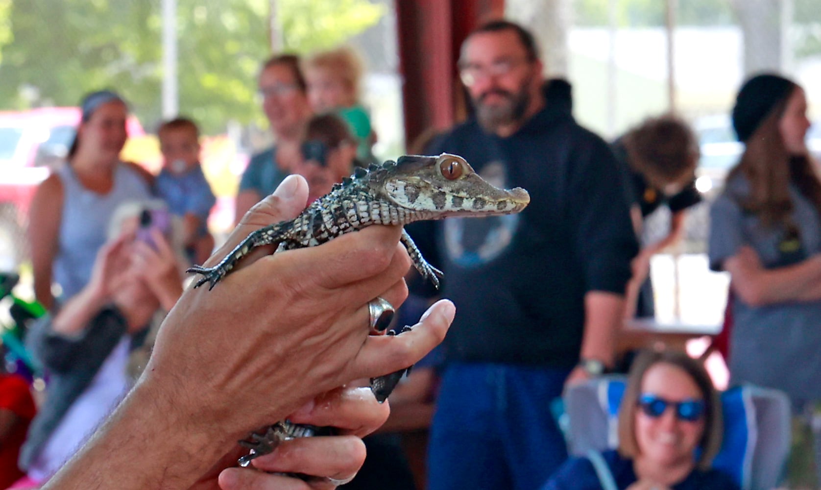 Reptile Show SNS