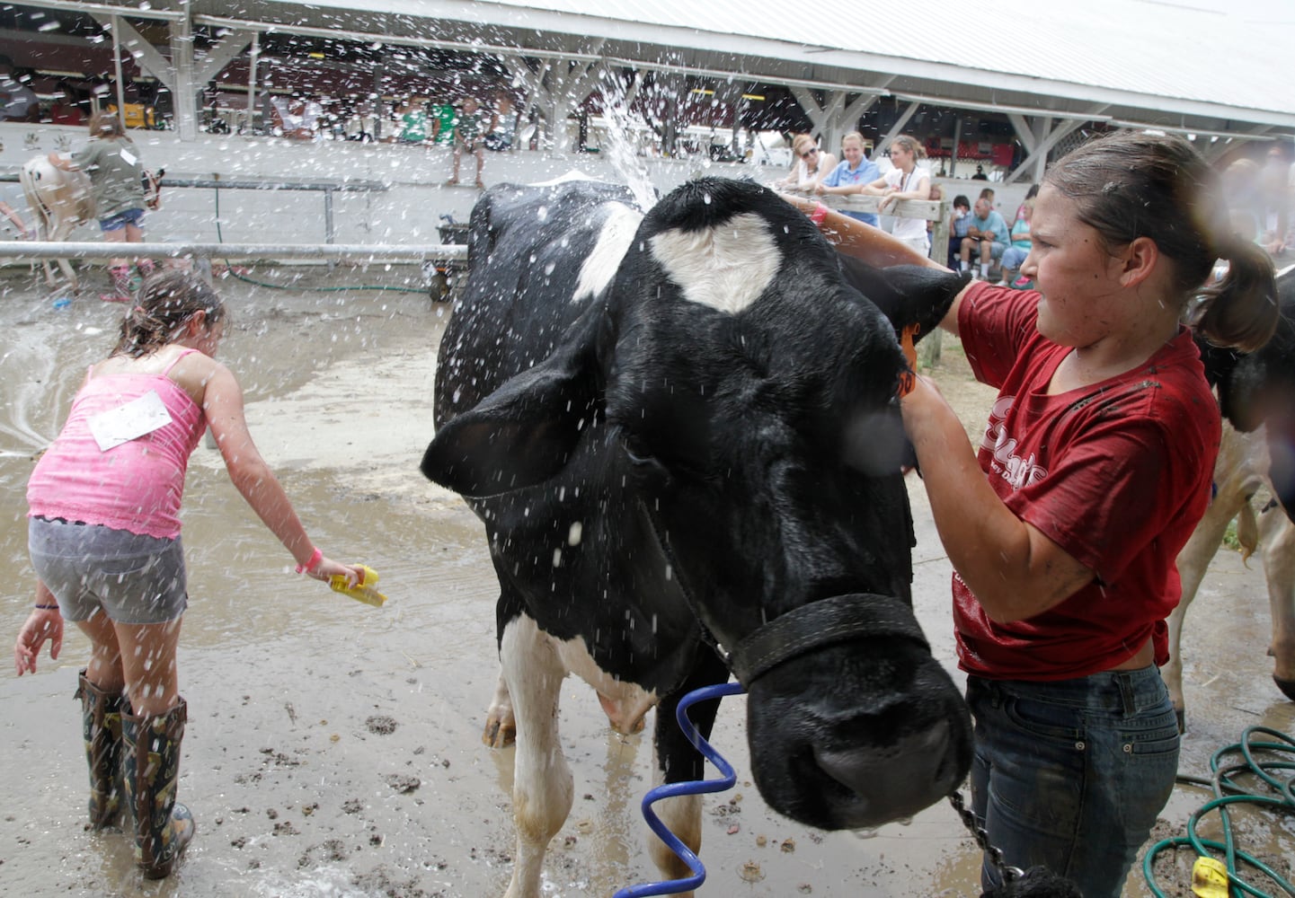 Clark County Fair