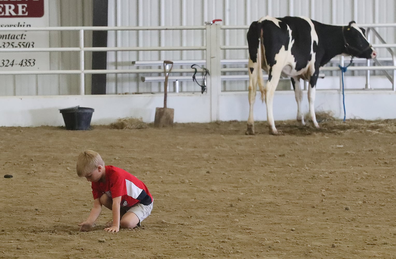 85 PHOTOS: 2019 Clark County Fair