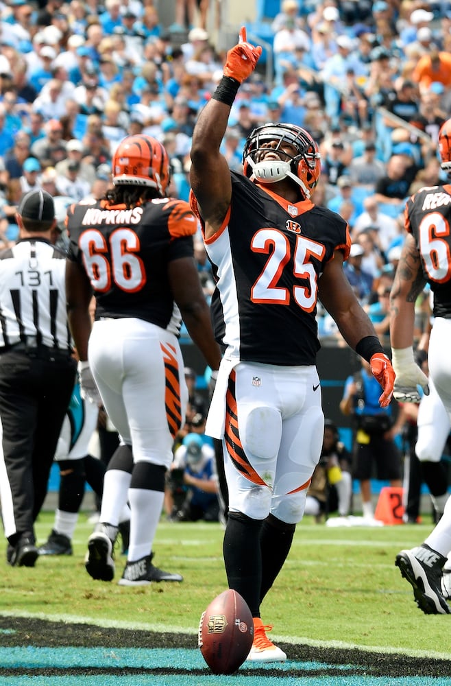 PHOTOS: Cincinnati Bengals vs. Carolina Panthers