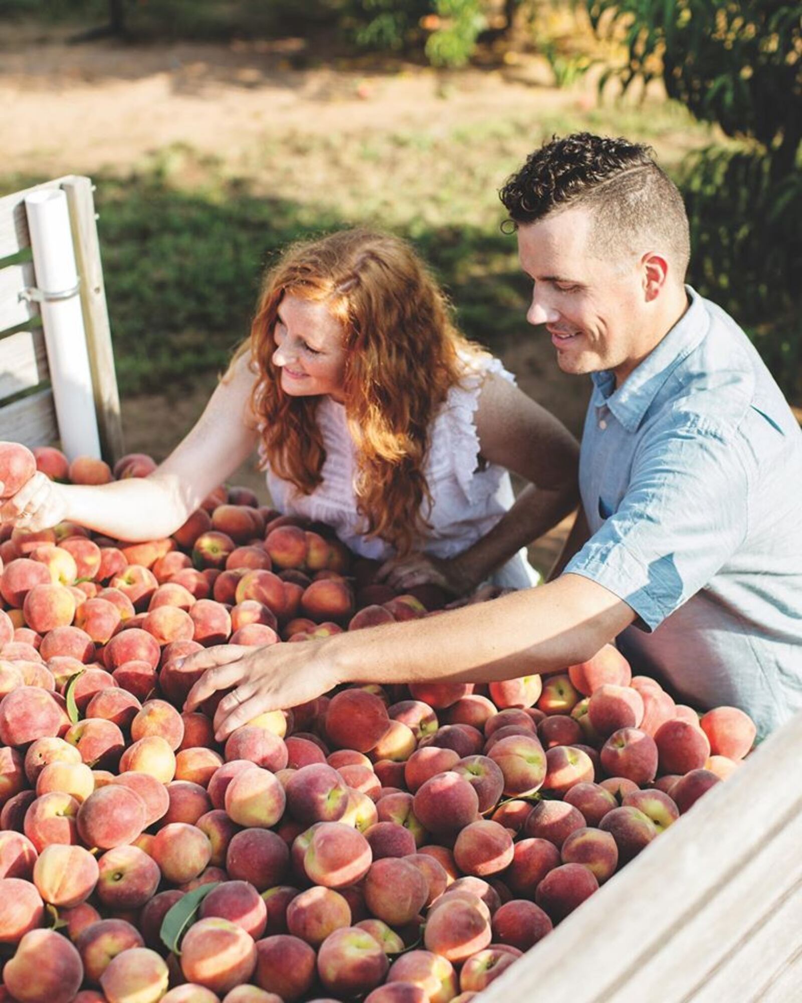 The Peach Truck is making stops in Dayton's key communities. Get your fresh Georgia peaches in Kettering, Beavercreek, Miamisburg, Xenia, Fairborn, Huber Heights, New Carlisle, Troy and more.