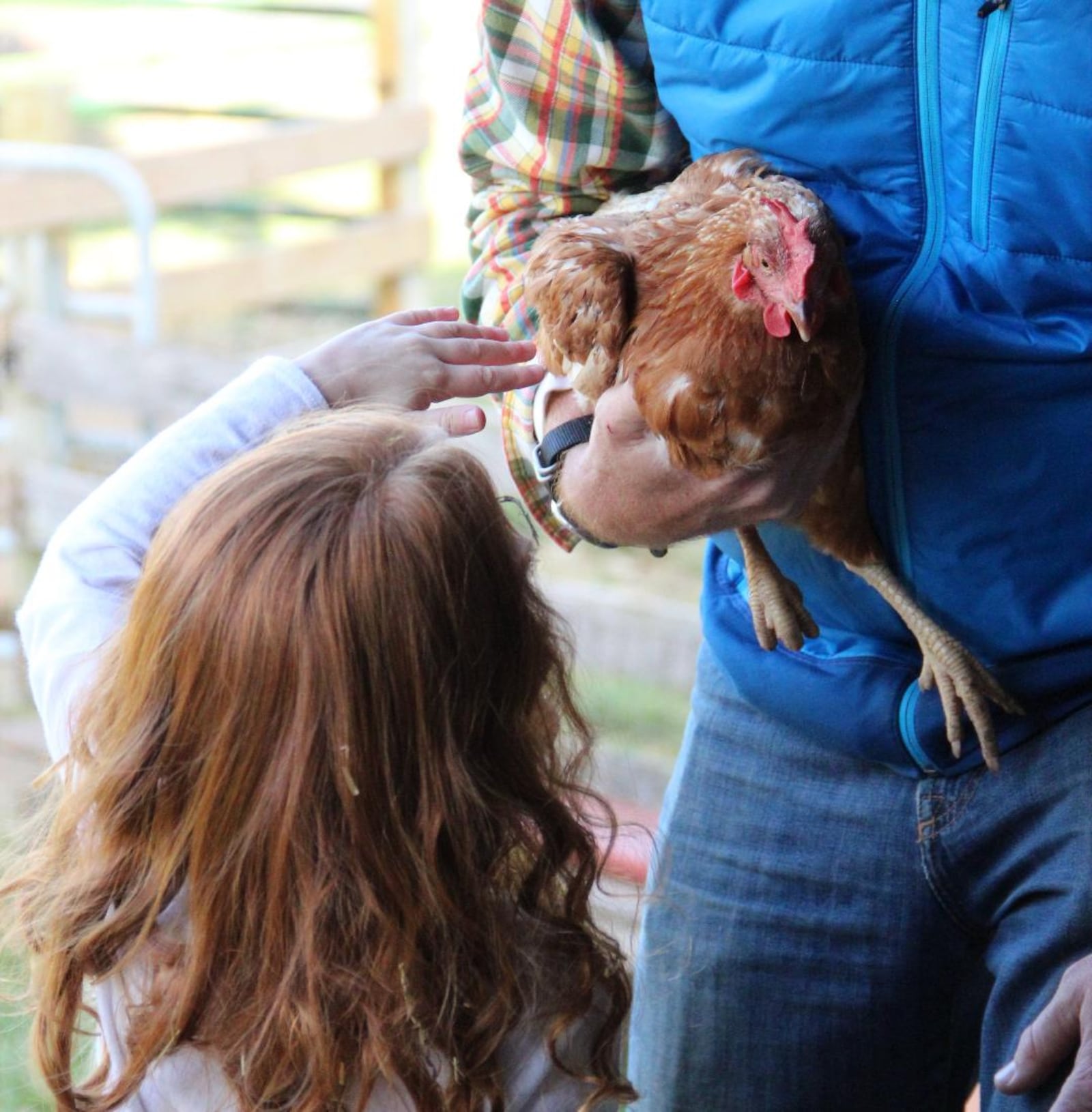 Learning Tree Farm’s family-friendly fundraiser Autumn Fest returns Saturday, Sept. 18 from 10 a.m. to 4 p.m. With 85 acres of farmland, families can enjoy activities, food trucks, educational opportunities and more.