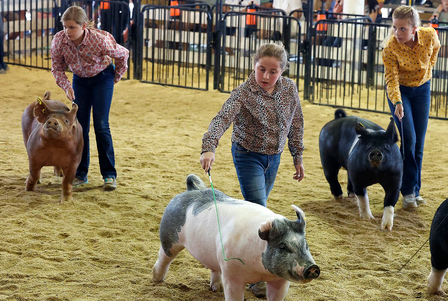 072323 Clark County Fair SNS