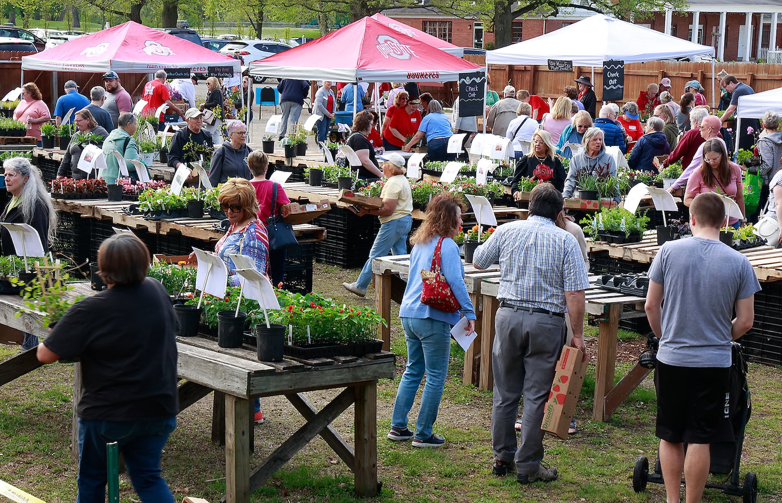 Plant Sale SNS