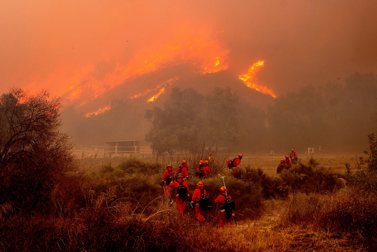 FILE - Inmate firefighters battle the Mountain Fire at Swanhill Farms in Moorpark, Calif., on Nov. 7, 2024. (AP Photo/Noah Berger, File)