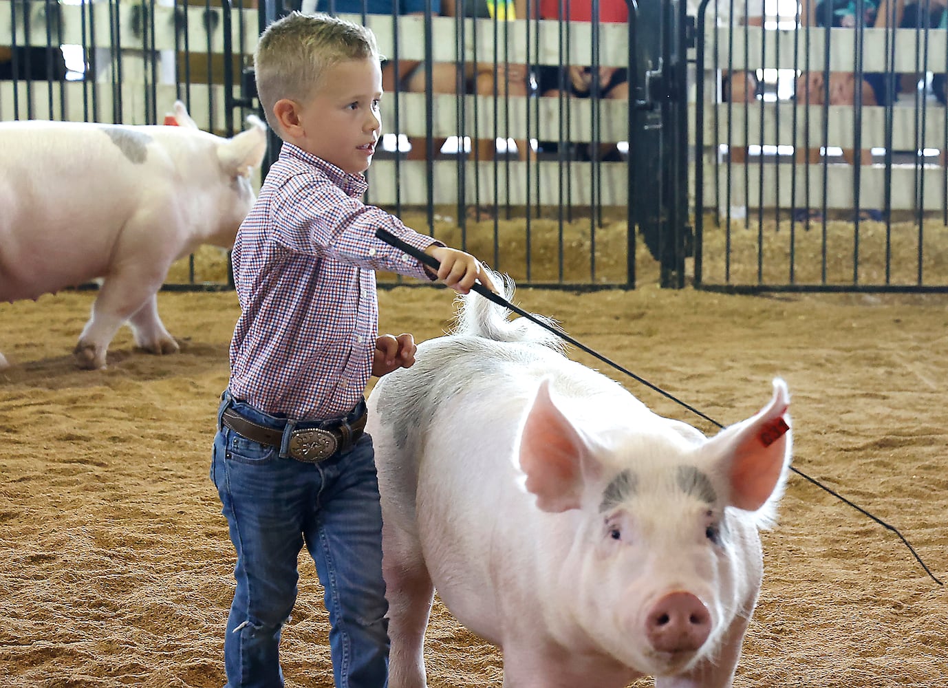 072823 Clark County Fair SNS