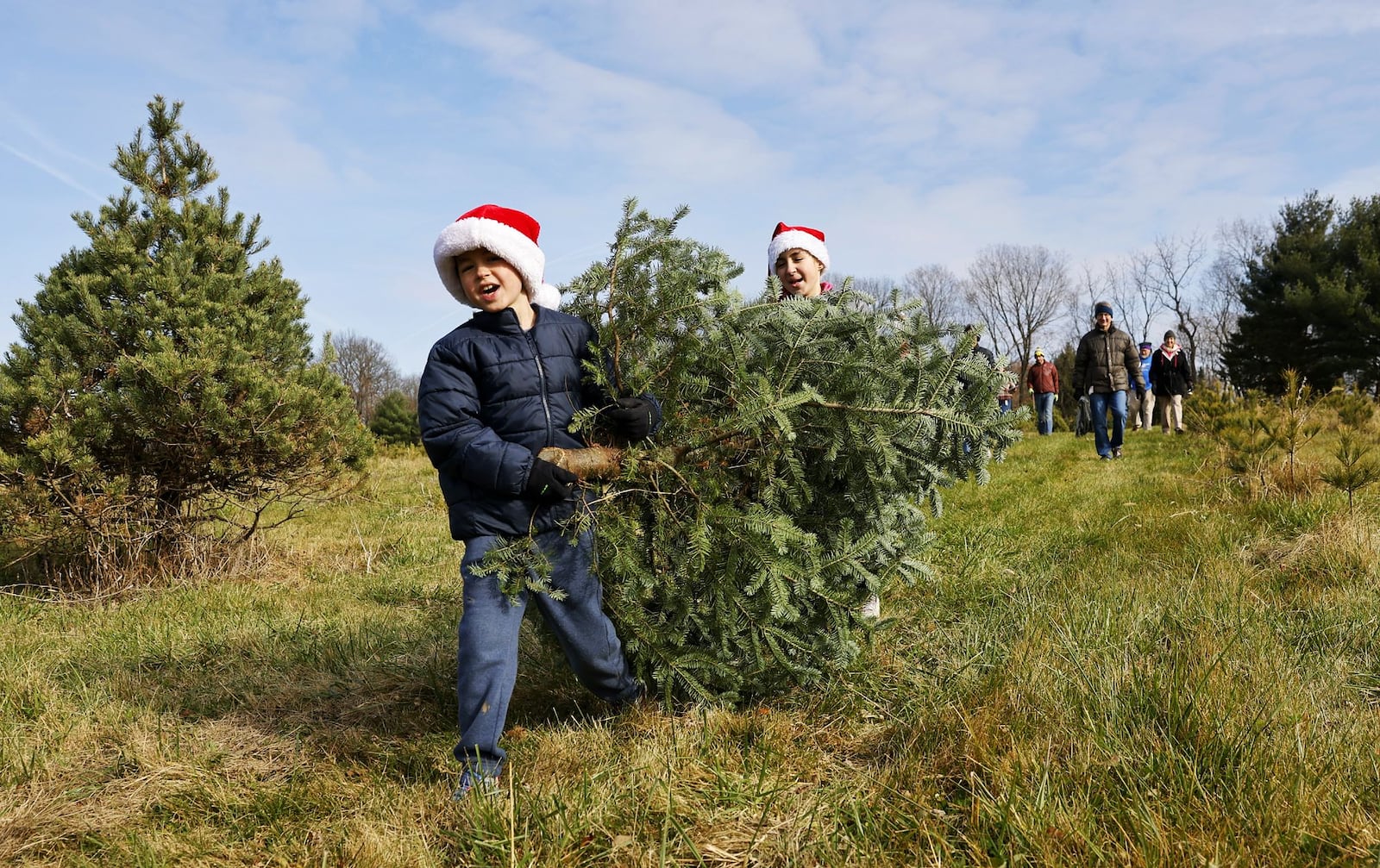 From November 2023: Micah Gotz, 7, and Cana Gotz, 10, carry their freshly cut family Christmas tree at Berninger Christmas Trees and Wreaths in Turtlecreek Twp. NICK GRAHAM/STAFF