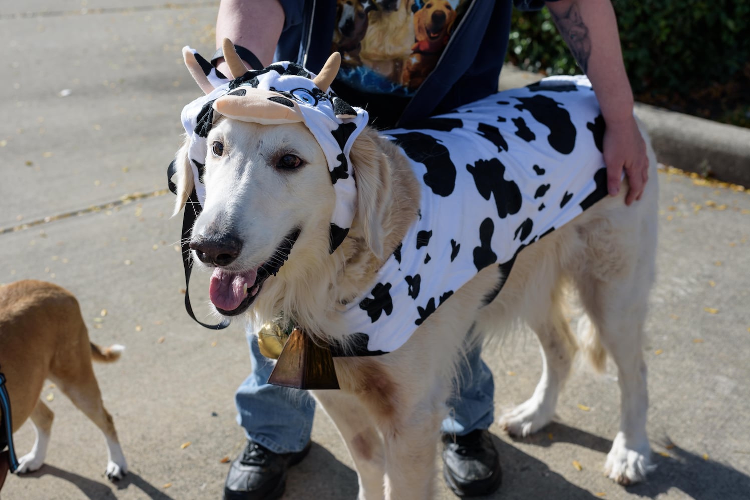 PHOTOS: Wag-O-Ween 2024 at Kettering Recreation Complex