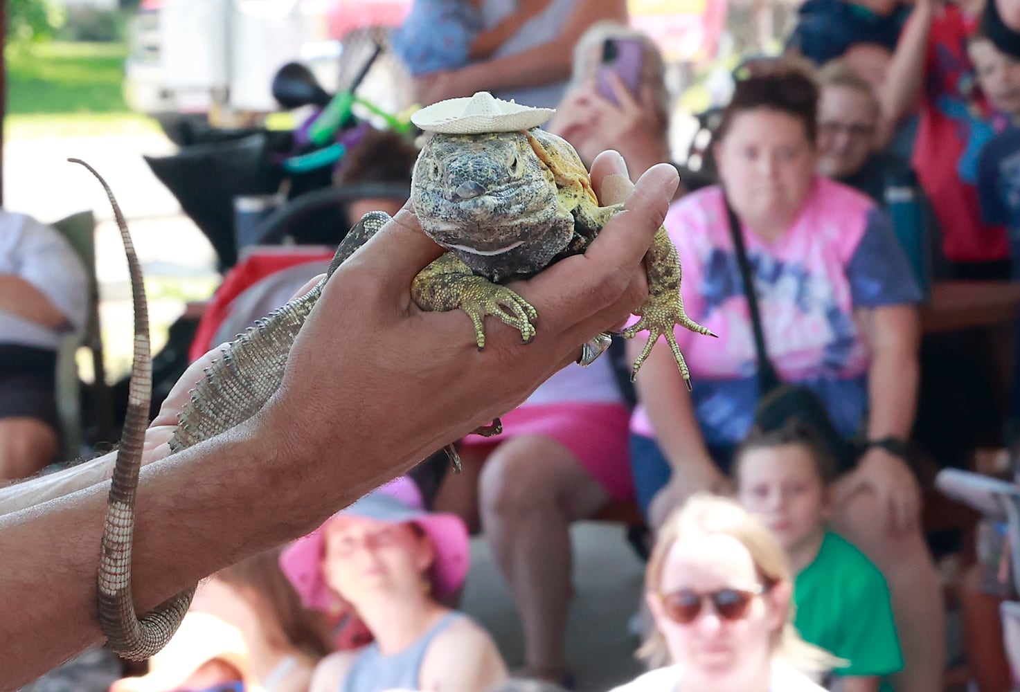 Reptile Show SNS