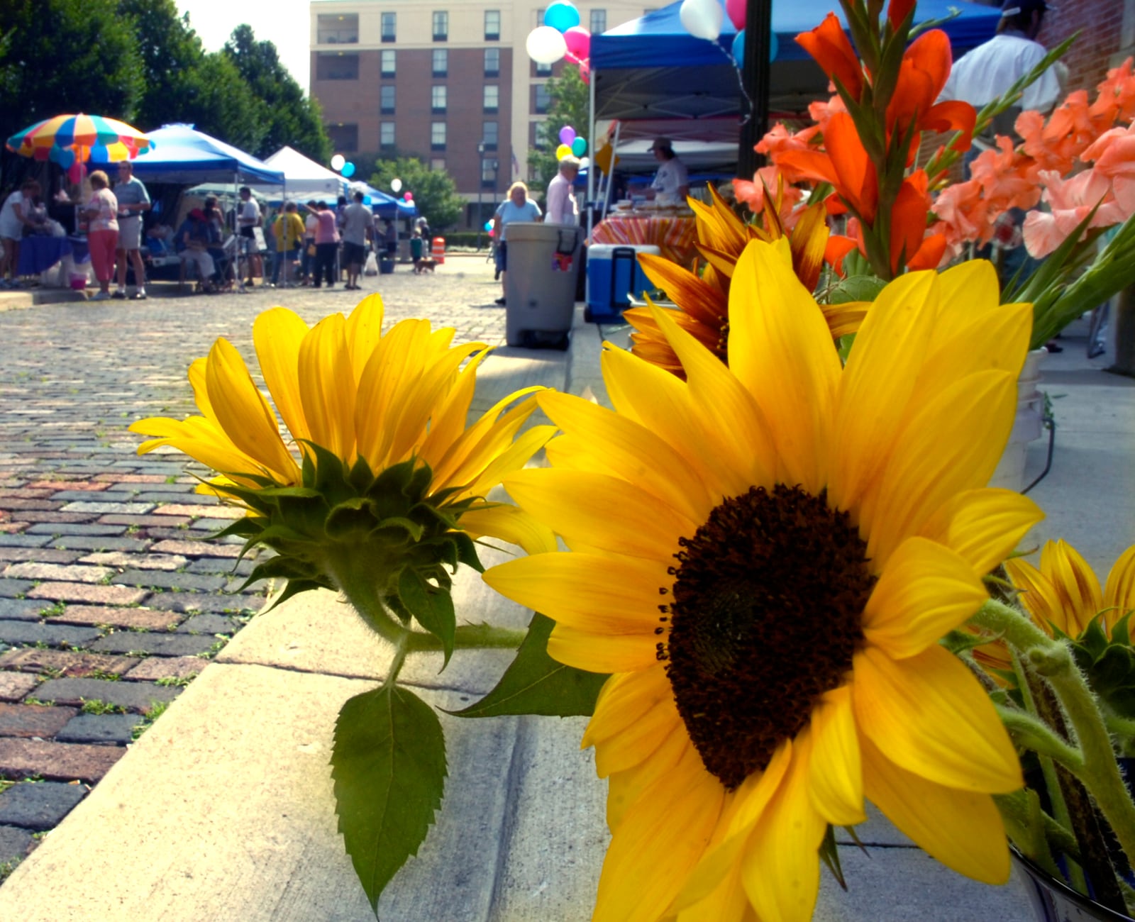 The Springfield Farmers Market will open its season on Saturday offering fresh goods each Saturday through September. CONTRIBUTED