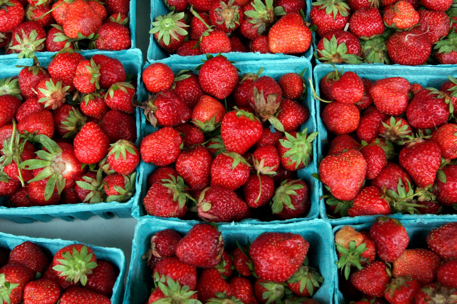 Fresh picked strawberried were one of the draws for the thousands who attended the Troy Strawberry Festival Saturday June 5.  A heavy down pour in the afternoon did not dampen the enthusiasm for the annual event which features a strawberry pie eating contest, Little Miss and Mr. Strawberry pageant, crafts, games and food. The festival continues Sunday June 6 from 7 a.m. to 6 p.m. in downtown Troy.