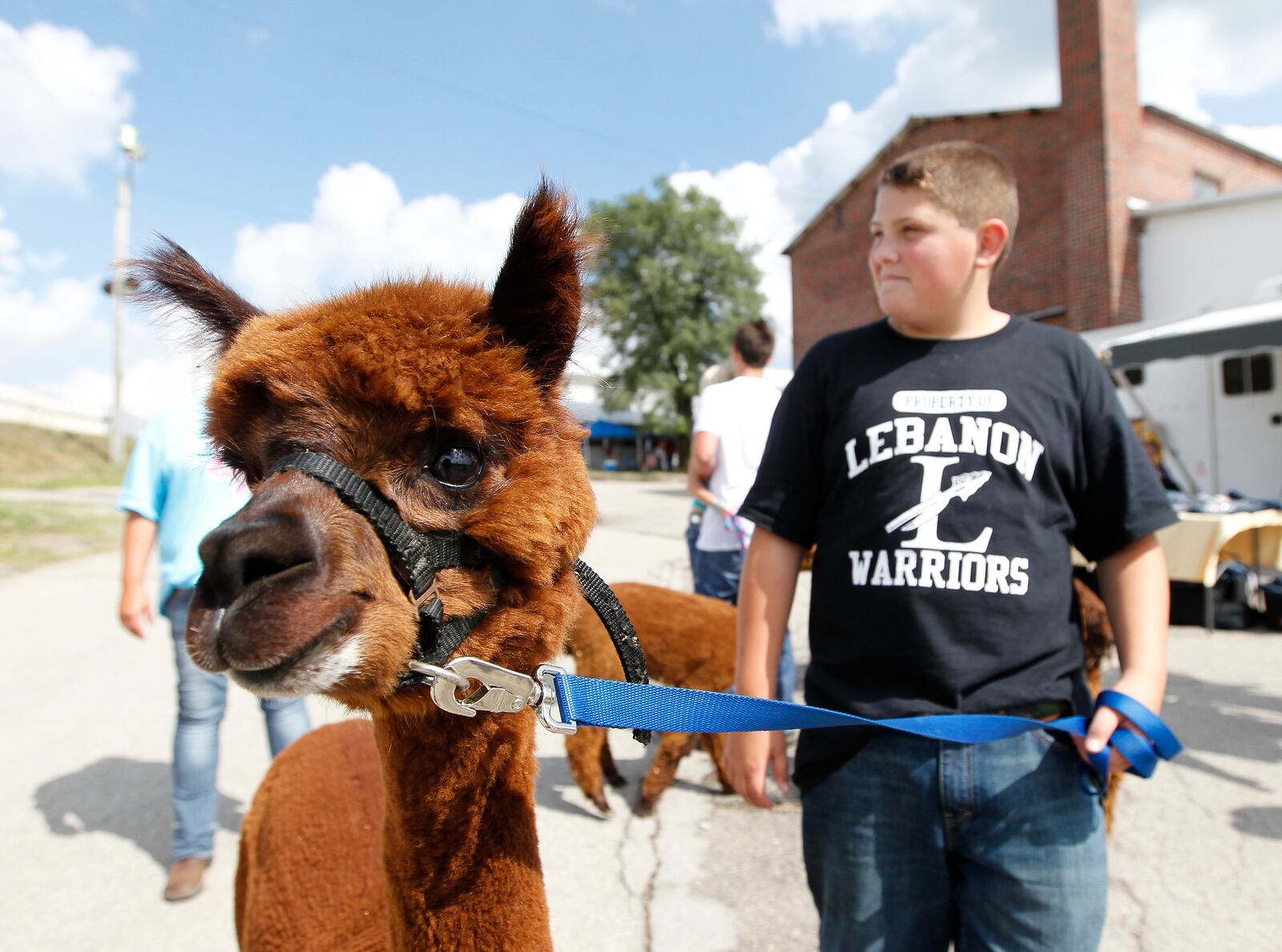 Bruce Booher walks with his Alpaca named Emma during the first day of the Warren County Fair Monday, July 14, 2014, in Lebanon, Ohio. NICK DAGGY / STAFF