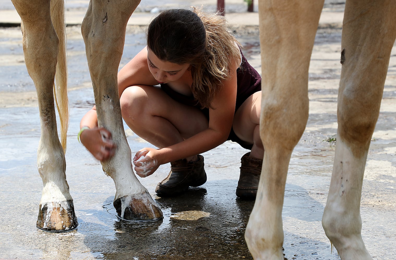 85 PHOTOS: 2019 Clark County Fair