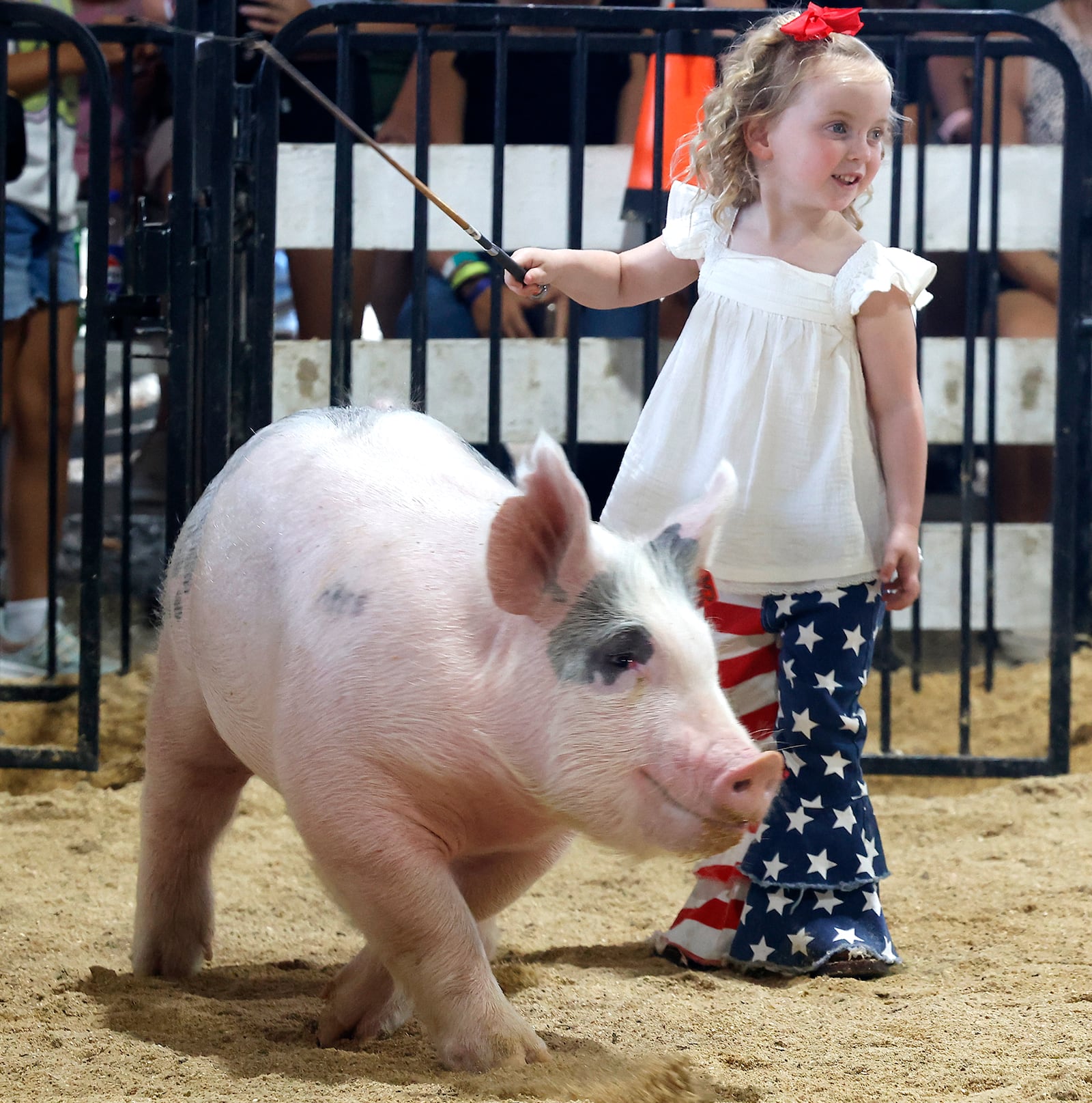 Some of the youngest competitors at the Clark County Fair got the chance to exhibit their showmanship skills during the Pee Wee Swine Showmanship contest Thursday, July 25, 2024. BILL LACKEY/STAFF