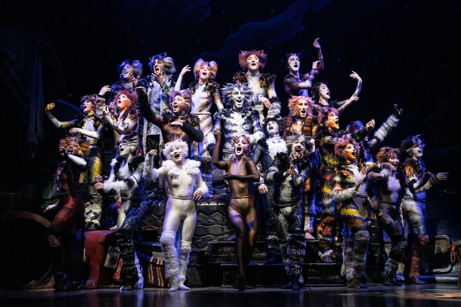 Andrew Lloyd Webber's iconic Broadway show "CATS'' is a good place to seek inspiration for your Bengals party attire. CONTRIBUTED