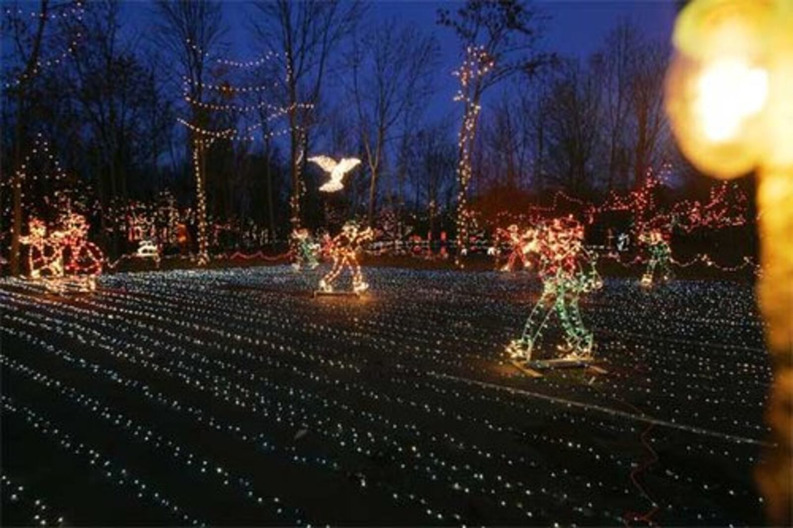 Holiday Lights on the Hill in Hamilton