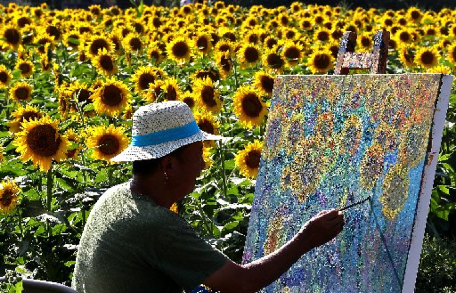 While everyone else was taking pictures of the Tecumseh Land Trust sunflowers Tuesday in Yellow Springs, Leo Hong Mao, an artist from Columbus, was capturing them with paint on canvas. Bill Lackey/Staff