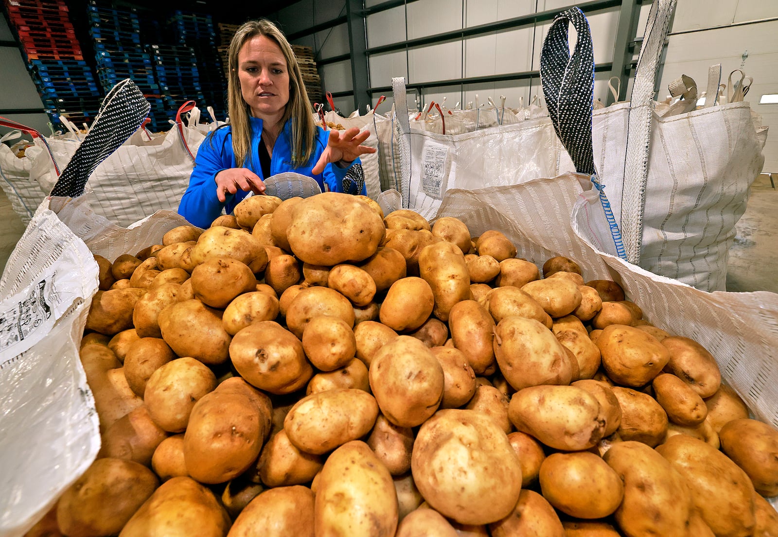 Fourth generation potato farmer, Kathy Sponheim, talks about some of the potatoes stored in the facility on Michael Family Farms in Champaign County. Kathy's family supplies potatoes to the great lakes region of the country. BILL LACKEY/STAFF