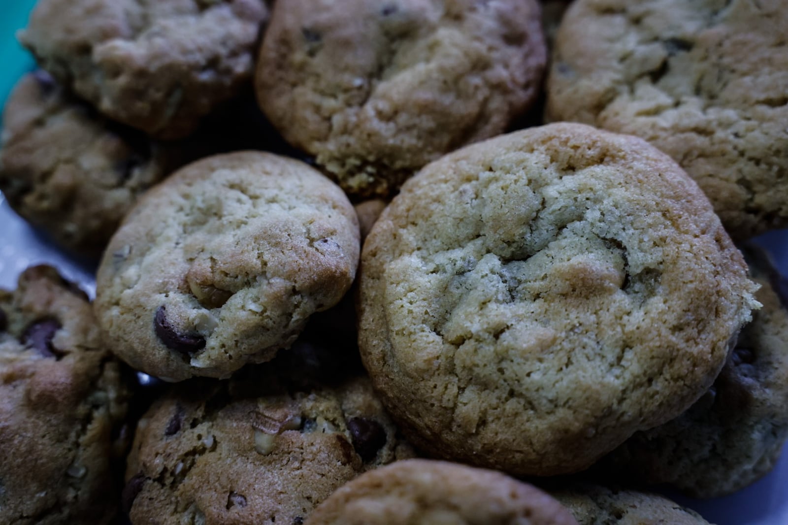 The Dayton Daily News Holiday Cookie Contest returned this year with area bakers submitting 32 of their very best recipes. A panel of judges selected the top three cookies. Pictured are Toll House Chocolate Chip Oatmeal Cookies submitted by Debi Knapp of Huber Heights. JIM NOELKER/STAFF