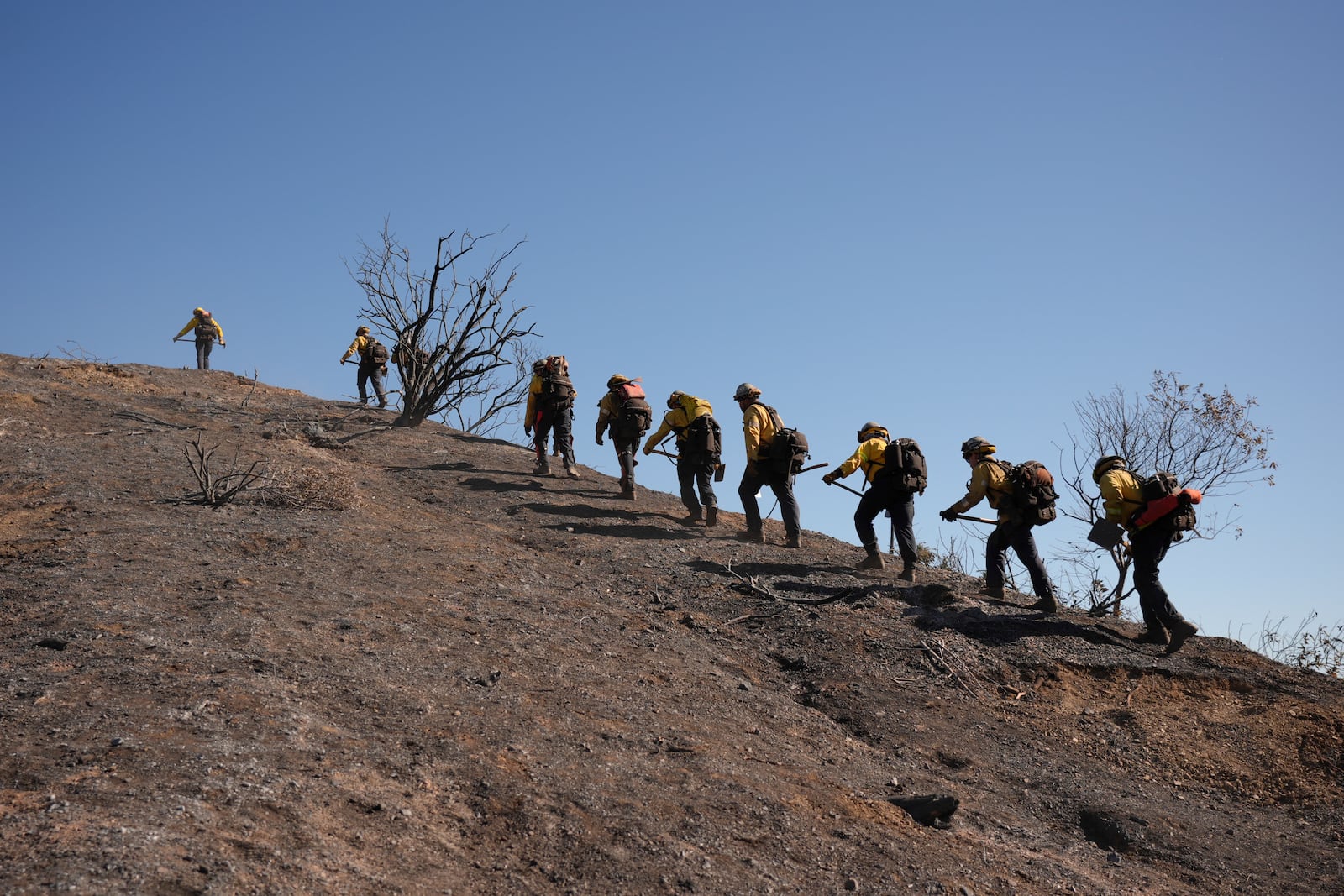 Fire crews work the burn zone of the Palisades Fire in Mandeville Canyon Thursday, Jan. 16, 2025, in Los Angeles. (AP Photo/Jae C. Hong)