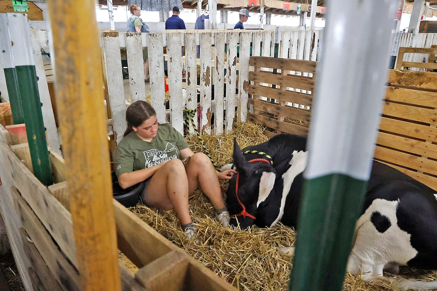 Champaign Co Fair SNS