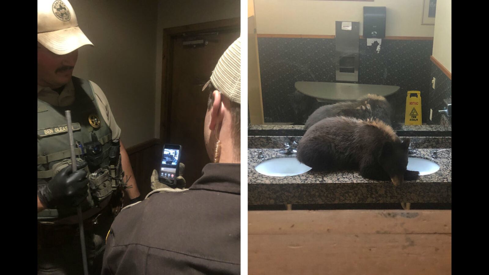 Staff members at Buck’s T-4 Lodge in Big Sky, Montana, got quite a surprise Saturday, Aug. 31, 2019, when they found a black bear lounging in a restroom inside the lobby. Wildlife experts were able to tranquilize the bear and safely remove it.