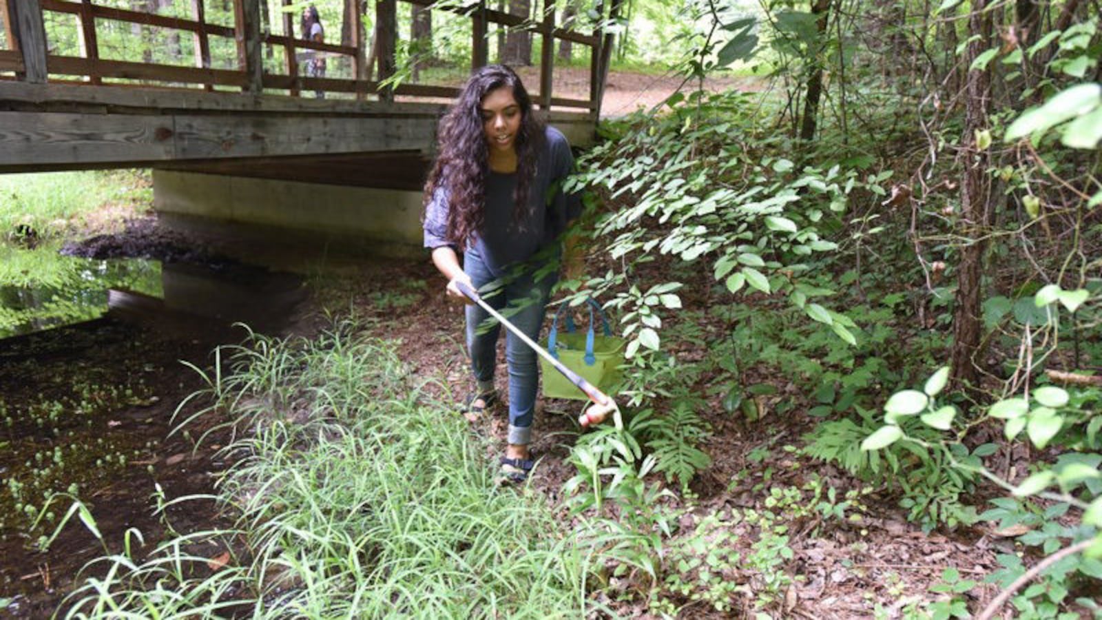 Hannah Testa, 16, has been battling plastic pollution since age 10. She is pictured here picking up plastic litter in her subdivision in Cumming, Georgia.